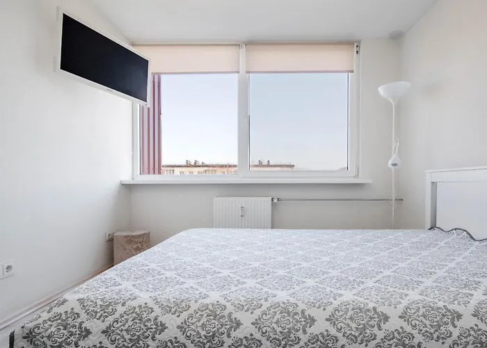 White Taikos * Klaipėda